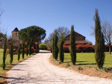 La Borie : Mimosa Gite de charme