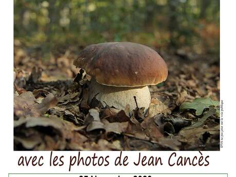 Soirée Très nature !