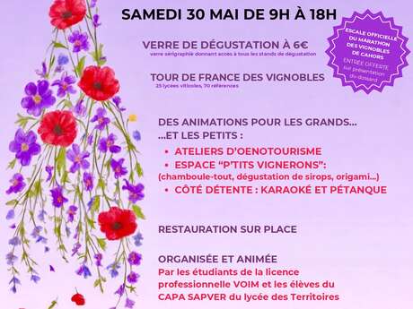 La Fête des vins au Domaine de Lacoste