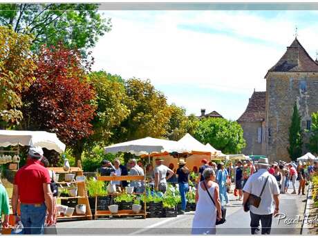 Fête des plantes rares et de collections