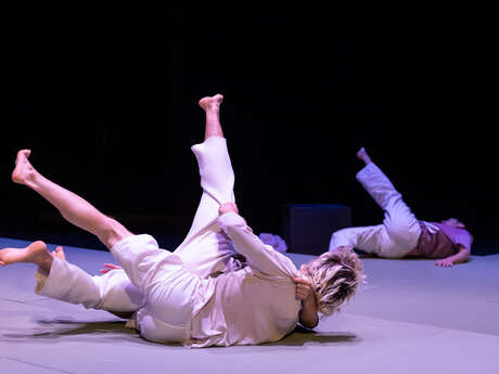 Théâtre de l'Usine - Figure Danse & Judo