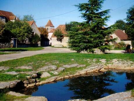 Aire de pique-nique à Fontanes-du-Causse