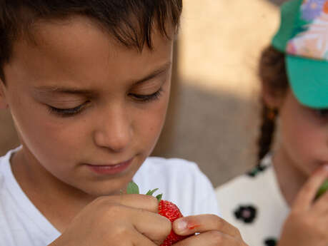 Marché gourmand à la ferme