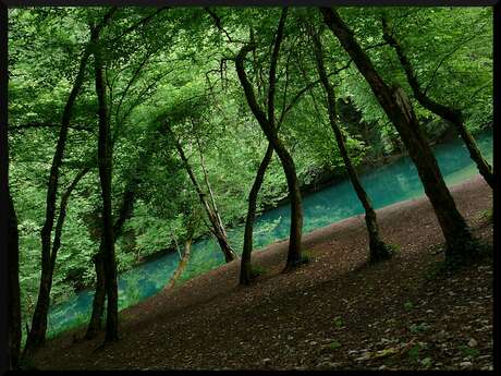 Activité  Nature Familiale