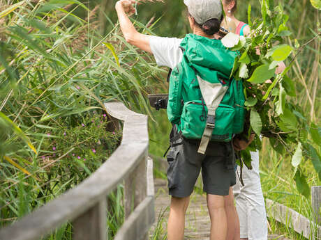 "Deux réserves naturelles, deux voix en chœur au marais de Bonnefont"
