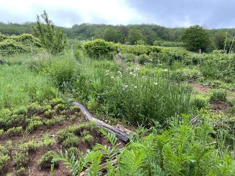 Les Jardins d'Achilléa