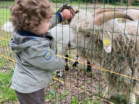 Ferme pédagogique les minis pattes