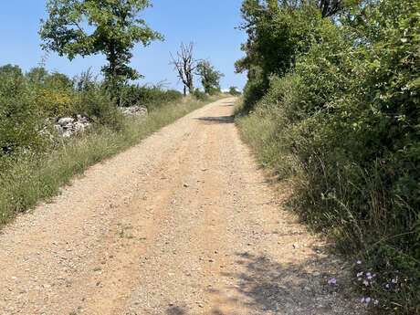 De Loubressac aux abords de la Dordogne