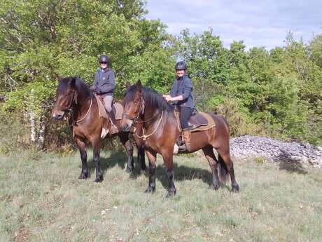Ferme Equestre du Pech Merle