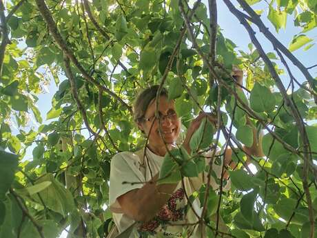 Création théâtrales et buffet paysan