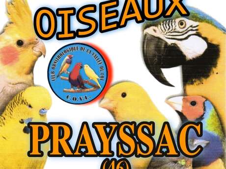 Exposition d'oiseaux