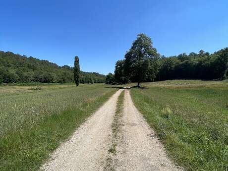 Au fil de la Thèze