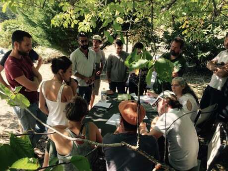 Atelier cuisine : plantes et fleurs sauvages à la ferme Lou Baptistou au Bouyssou