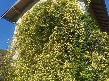 La maisonnette dans les roses