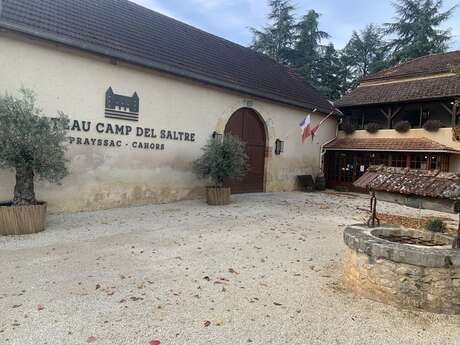 Château Camp del Saltre