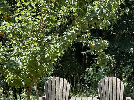 Domaine du Mombret Haut - Aire Naturelle