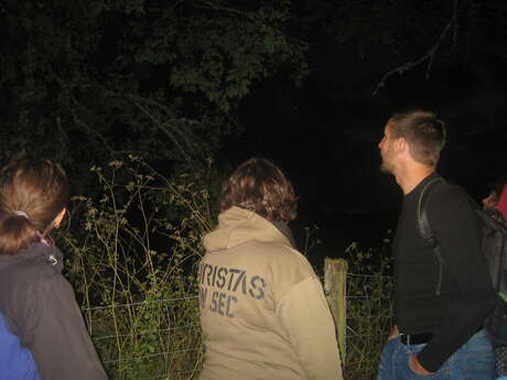 Nuit de la chauve-souris