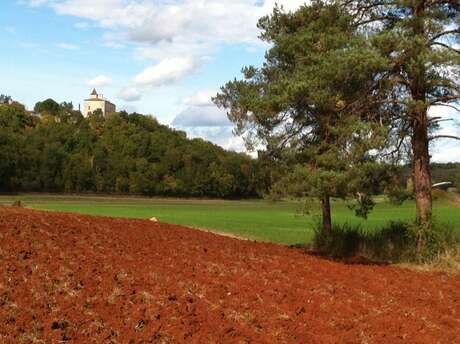 Le sentier des truffes