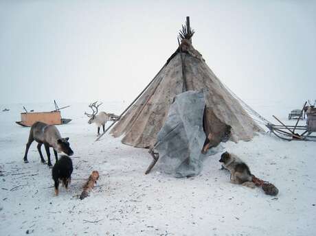 Projection cinématographique autour du cinéma Inuit