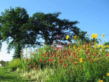 Journées Nationales de l'agriculture - visite de la ferme du Jardin de Beyssin