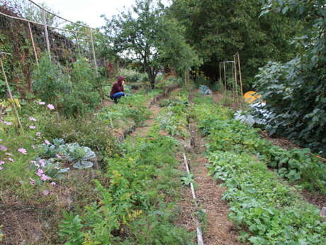 Forêt-Jardin à le ferme du Bouyssou