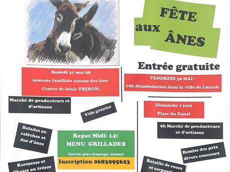 La fête aux ânes à Luzech