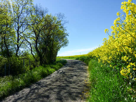 Sur la Route des Moulins