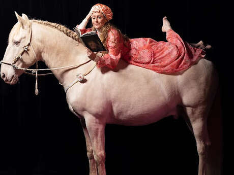Théâtre équestre Hors(e) série - j'en parlerai à mon cheval