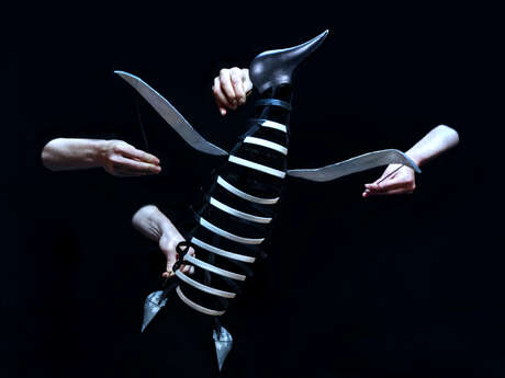 Théâtre de l'Usine - Le complexe du pingouin – Cie Le Mouton Carré