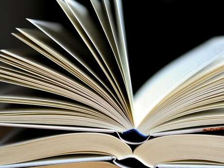 Vente publique des livres désherbés