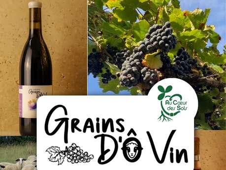 Grains d'O Vin