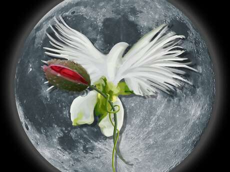 Bronzer sous la lune