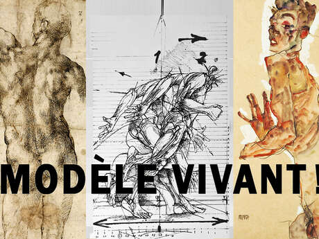 Magali Roux - Atelier de dessin