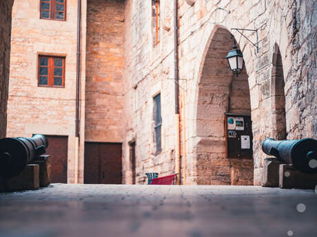 Balade Acrobatique pour l'Architecture