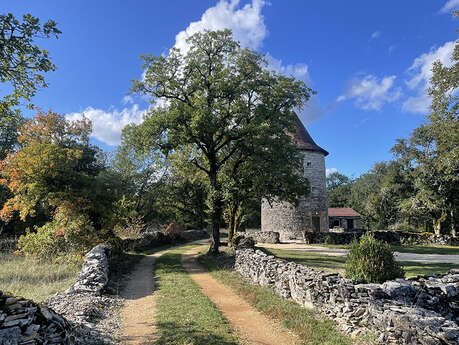 Domaine de Moulin - Phare