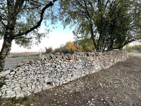 Mille mains à la pâte : découverte de la pratique du bâti en pierre sèche