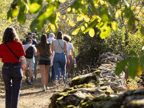 Pays d'Art et d'Histoire : Visite découverte - Gramat, un village à la croisée des routes marchandes et des roches quercynoises