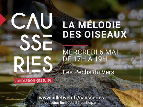 La mélodie des oiseaux