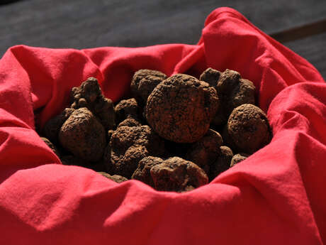 Fête de la truffe à Lalbenque Fête de la truffe à Lalbenque