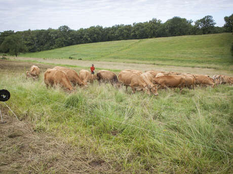 Plantes et Cie : bergers, bergères