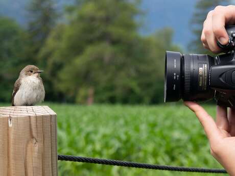 ! COMPLET ! Stage de photographie animalière au Jardin Bourian ! COMPLET !