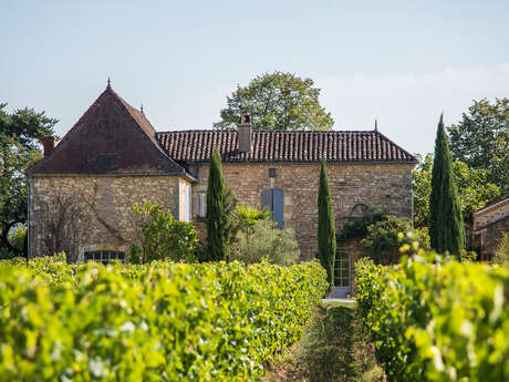 Château Cantelauze - Mezy