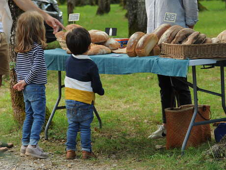 Marché d'été de producteurs et artisans locaux