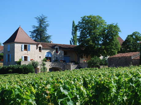 Domaine de Lapistoule