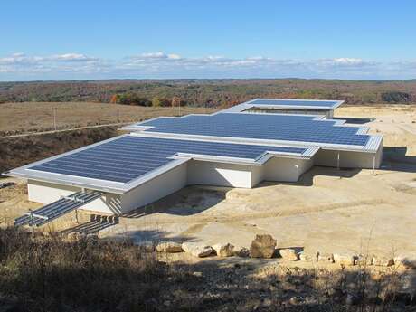 La Plage aux Ptérosaures