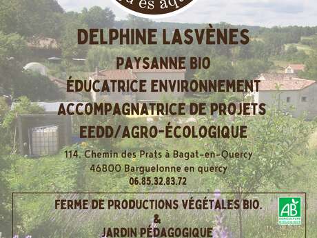 Arts-nature : fabrication d’encres végétales à la Ferme Qu'es Aquò