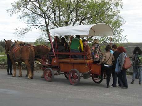 Rallye équestre