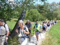 Randonnée Pédestre à Forgès