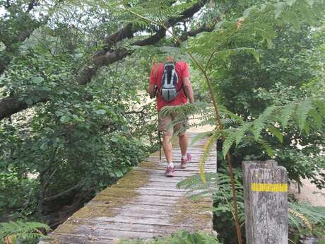 Marche , vtt et route Trans Souillagaise.