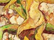 Festival résurgence IX -  Some Kind of Lightness – Exposition de Rachel Isadora